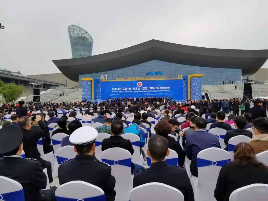 2019中国（石家庄）国际新能源、智能汽车博览会开幕，看跃迪引爆全场！！