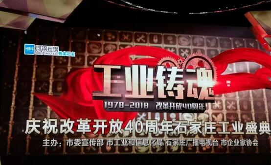 重磅|跃迪旗下河北新宇宙荣获石家庄市“工业铸魂”大型评选活动金雁奖