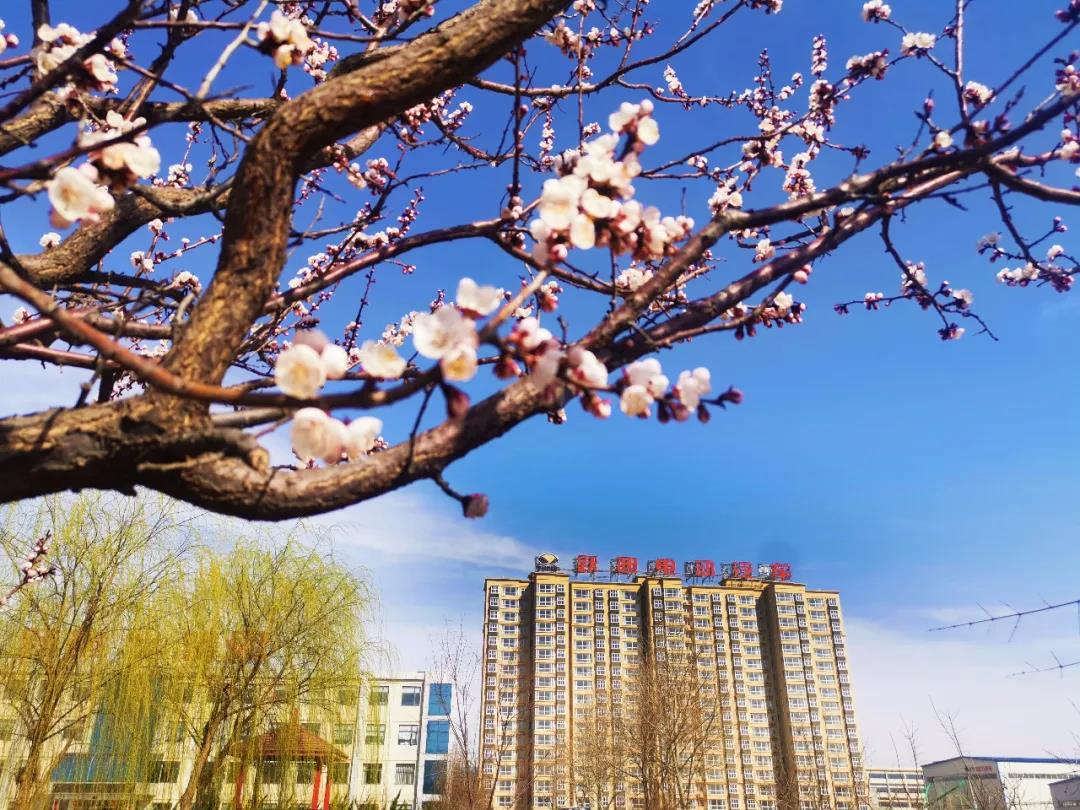 吹响“集结号” | 跃迪集团：开足马力抓生产 复工复产见成效！